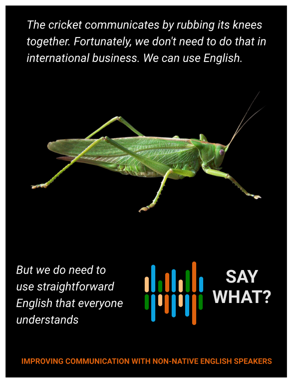 The cricket communicates by rubbing its knees together. Fortunately, we don't need to do that in international business. We can use English.  But we do need to use straightforward English that everyone understands    SAY WHAT? IMPROVING COMMUNICATION WITH NON-NATIVE ENGLISH SPEAKERS