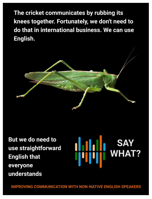 The cricket communicates by rubbing its knees together. Fortunately, we don't need to do that in international business. We can use English.  But we do need to use straightforward English that everyone understands    SAY WHAT? IMPROVING COMMUNICATION WITH NON-NATIVE ENGLISH SPEAKERS
