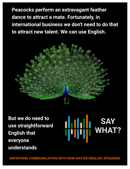 Peacocks perform an extravagant feather dance to attract a mate. Fortunately, in international business we don't need to do that to attract new talent. We can use English.  But we do need to use straightforward English that everyone understands    SAY WHAT? IMPROVING COMMUNICATION WITH NON-NATIVE ENGLISH SPEAKERS