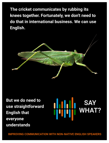 The cricket communicates by rubbing its knees together. Fortunately, we don't need to do that in international business. We can use English.  But we do need to use straightforward English that everyone understands    SAY WHAT? IMPROVING COMMUNICATION WITH NON-NATIVE ENGLISH SPEAKERS